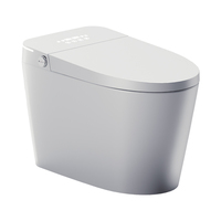 Intelligent Smart Toilet with Auto Flush Heated Seat Pre-Wet Bowl Night Light Soft Close Seat S-trap Drainage Dual-Flush