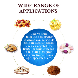 آلات 10-1000kgh آلة تجفيد lyophilization الصناعية - Product Image 4