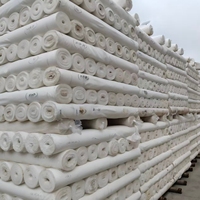 Tissu de doublure tissé léger, respirant et imperméable en polyester 100% 75D 210T teint en croix, prix de gros usine