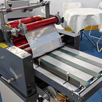 DG389 Machine à plastifier à double face chaude et froide avec fonction d'estampage d'aluminium