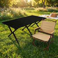 Table pliante en aluminium durable de 59 cm, noire, de qualité supérieure, pour le camping et la pêche, vente en gros
