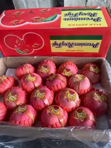 Red Delicious Fuji Apples Shandong Yantai Fuji Apple