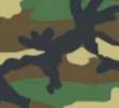 Camouflage