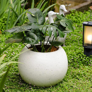 <span class=keywords><strong>Maceta</strong></span> grande redonda de pie nórdico para sala de estar, centro comercial, decoración, simulación de <span class=keywords><strong>maceta</strong></span> doméstica <span class=keywords><strong>Nandina</strong></span> - Product Image 4