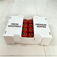 Caisse empilable en PP ondulé, lavable, facile à nettoyer, remplie de minéraux, écologique, étanche, pour la récolte agricole, les produits, la viande et l'alimentation animale