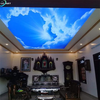Fábricas chinas PVC para pared paneles de PVC 3D arte decorativo nube estiramiento techo pared mural