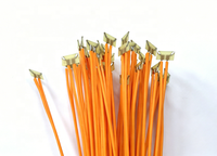 Allumettes de feux d'artifice sans poudre, vente en gros d'usine, longueur 30 cm sélectionnable, livraison super rapide