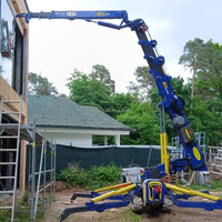 Mini-grue araignée SPT de 3 tonnes avec moteur Kubota, hauteur de levage de 17,1 m, conception pliable