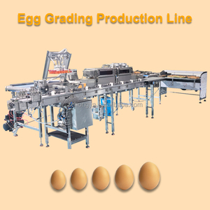 Tự động khay trứng phân loại dây chuyền sản xuất trứng trọng lượng và kích thước phân loại dây chuyền sản xuất - Product Image 6