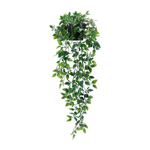 Guirlande artificielle d'eucalyptus Enyi 55cm 65cm pour décoration intérieure et extérieure, plante verte murale - Product Image 5