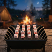 Choix Premium : Briquettes de charbon actif naturelles en coque de noix de coco