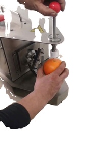 Éplucheur Électrique Industriel pour Fruits (Citron, Orange, Pomme, Poire) avec Roulement en Acier Inoxydable pour Légumes et Fruits - Product Image 4