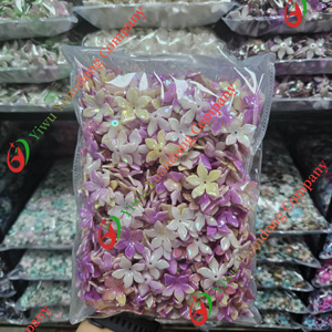 Trung Quốc <span class=keywords><strong>redbud</strong></span> để lại với lỗ Bead hai màu gradient hoa Acrylic hạt đối với trang sức làm - Product Image 1