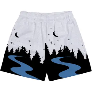Summer Polyester Street Wear Casual Breathable 5 Inch Inseam Gym Basketball Mesh Men'S Shorts