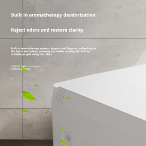 Inodoro Inteligente de Cerámica de Alta Calidad, Suspendido en la Pared, con Diseño de Cisterna Oculta, Desodorización Automática, Patrón de Drenaje en Forma de P, TJ - Product Image 5