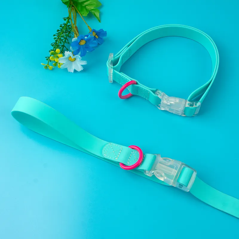 Silicone Coated Webbing Pet Adjustable Comfort Custom Pvc Waterproof Dog Leash Collar Set with Transparent plastic buckle