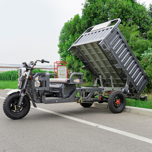 China New 1000W Triciclo eléctrico de carga de tres ruedas Coche de 3 ruedas Coche de transporte de mercancías - Product Image 5