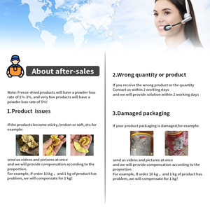 Ycoyco sâu đóng băng trái cây sấy khô màu xanh lá cây nho rắn trong kg bằng cách đóng băng - Product Image 6