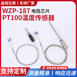 Wrnt-03/10 <b>Temperature</b> Sensor K Type Pt100 Stainless Steel Threaded M12x1 Wire Leads - Product Image 5