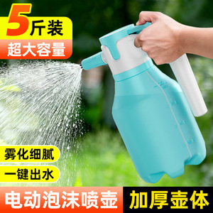 Pulverizador de Espuma Eléctrico Leiboo de 2L, Herramienta de Lavado de Autos de Alta Presión con un Solo Botón - Product Image 4