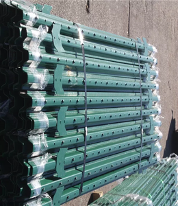High Quality Wholesale T <strong>Post</strong> Hot Dipped Galvanized Powder Coated for Firm Farm Fence <strong>Fix</strong> Strong <strong>Post</strong> Fencing Trellis Gates - Product Image 6
