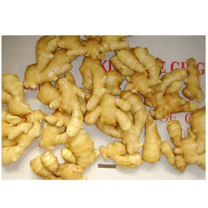 High Quality Fresh Ginger And Air Dried Ginger Root Supply From Chinese Ginger Factory