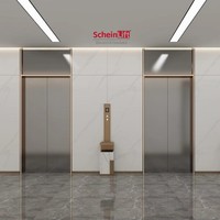 Ascenseur de passagers haut de gamme en acier inoxydable 304, traction sans engrenages, cabine finition miroir, design classique moderne, ScheinLift