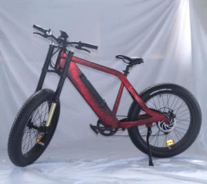विंटेज विशाल बिजली साइकिल mountainbike चीन में किए गए 300 वाट - Product Image 1