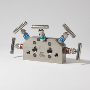 Collecteurs à cinq vannes FD-LOK en acier inoxydable 316, haute pression 5000 psi, raccord en T à 2 voies, aiguille manuelle pour gaz haute température - Product Image 3