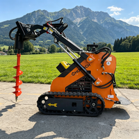 Chargeurs sur chenilles HOMACH, chargeurs compacts sur chenilles 500kg 700kg 850kg 900kg, chargeur compact sur chenilles avec chenilles