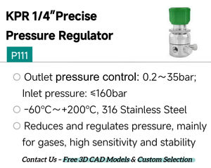 Válvula Reductora EAGLE de Acero Inoxidable 316L, Regulador de Precisión de Diafragma de Alta Presión Resistente a la Corrosión para Equipos de Agua, 1/4 NPT - Product Image 2