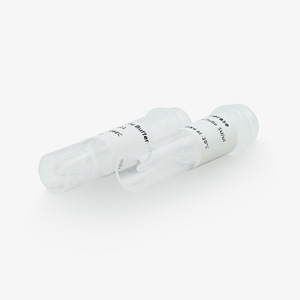เอนไซม์ Hua Chenyang Pfu DNA Polymerase 500u/1ml ความแม่นยำสูง สำหรับการใช้งาน PCR - Product Image 2