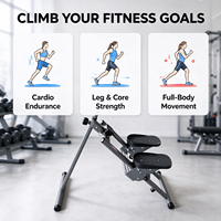 Mini stepper de gym à domicile, cadre en acier, pédale antidérapante, compteur LCD, équipement de fitness pour les jambes et les fessiers, portable, faible MOQ, OEM