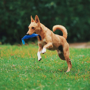 Tela Resistente a Desgarros para Entrenamiento de Perros, Palos de Mordida Multicolores, Juguetes Interactivos para Mascotas, Suministros para el Entrenamiento de Pastores Alemanes - Product Image 4