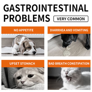 Omega-3 Salmão Óleo de Peixe Suplemento para Cães Alergia Alívio Imunidade Mastiga Probióticos Anti-Coceira Hot Spots Tratamento para Cães Gatos - Product Image 6