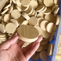 Ouvre-Bouteille Aimanté en Bois de Bambou Moderne Fait Main, Offre Spéciale Transfrontalière, Cadeaux de Mariage et de Fête DIY pour Usage Vinicole OEM