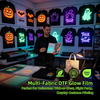 Feuille de film DTF luminescent Fcolor pour Halloween, film de transfert thermique PET pour impression DIY sur T-shirt