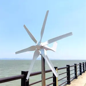 Mini Size S800000W 12V 24V Horizontal Axis wind turbines with controller for home use