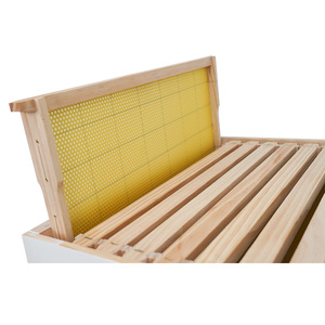 Ruche pour les abeilles Ruches d'abeilles australiennes complètes - Product Image 2