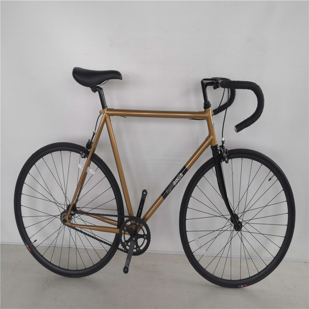 bronze 4130 gravel bike chromoly lugged frame vintage fixie fixed gear bikes