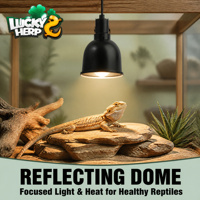 Dôme normal en acrylique et aluminium LuckyHerp de 8,5 pouces pour lampe UVB, écologique, noir, prise EU/UK/JP pour reptiles, serpents, lézards