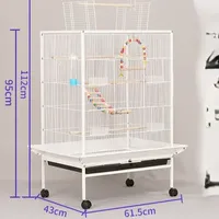 Cage de Volière Ornamentale pour Oiseaux Domestiques en Gros – Cage de Reproduction pour Grands Groupes de Cockatiels et Perroquets