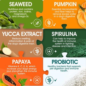 11合1狗益生菌咀嚼增强肠道健康促进消化菌群平衡免疫肠道健康宠物补充剂OEM ODM - Product Image 3