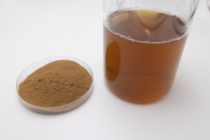 Poudre <span class=keywords><strong>de</strong></span> pignons <span class=keywords><strong>de</strong></span> pin entièrement hydrosoluble <span class=keywords><strong>de</strong></span> haute pureté, extrait <span class=keywords><strong>de</strong></span> pignons <span class=keywords><strong>de</strong></span> pin en poudre, grande quantité disponible - Product Image 6