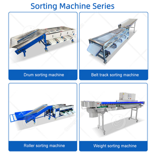 Machine de <span class=keywords><strong>tri</strong></span> et de lavage automatique de fruits ORME pour citrons frais, myrtilles, oranges et dattes - Product Image 4