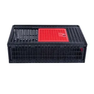2023 New Design 3 Doors Plastic Poultry Duck Chicken Transport Cage Crate For Poultry Farm