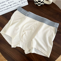 Boxer court tricoté sans couture pour hommes, taille mi-haute, anti-bactérien, avec logo à la taille, élastique, impression numérique, taille unique