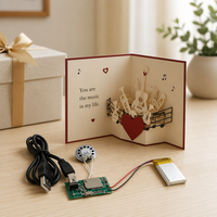 Module sonore magnétique USB standard d'exportation, mécanisme vocal enregistrable pour cartes de vœux et boîtes cadeaux, vente en gros