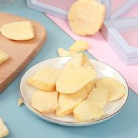 Hisnack Gedroogd Fruit Appel Mango Aardbei Vriesdroger Banaan Gedroogd Gemengd Fruit
