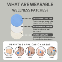 Patch NAD+ Plus avec glutathion et vitamine B12 pour le bien-être, le soutien anti-âge et les soins de la peau, usage quotidien, vente en gros usine OEM